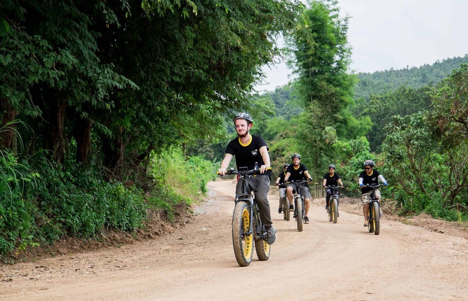 Buzzy Bee Bike tours